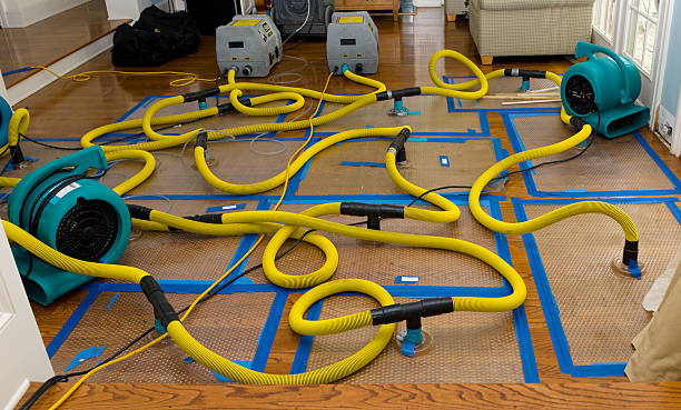 Professional Storm Water Damage Restoration technician working in Muse, PA